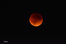 Blood moon 5_15_2022 small.jpg