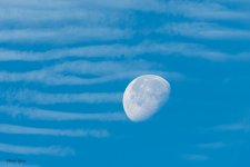 MoonClouds-453.jpg