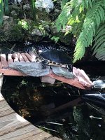 Turts new bridge.jpg