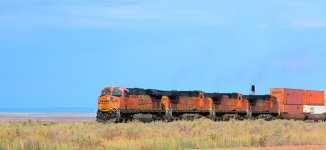 DSC_0922.jpg