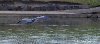 DSC_0893.JPG