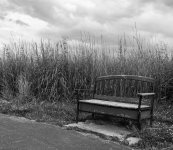 BenchBW (1 of 1).jpg