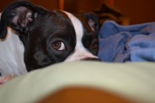 DSC_0021.jpg