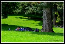 Day209Park.jpg