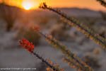 DW3_4490-10.jpg