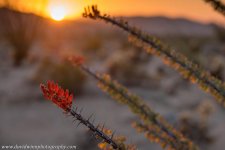 DW3_4490-2.jpg