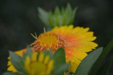 DSC_0102.jpg