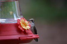 DSC_0158.jpg