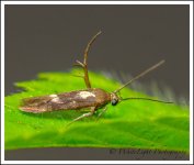 DSC__WLP_0001-86.jpg