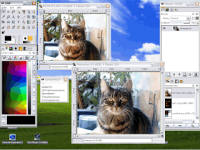 gimp.png