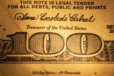 Macro 100 bill 3.jpg