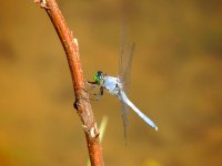 DSCN9292.jpg