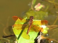 DSCN9301.jpg