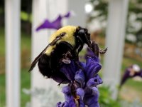 DSCN9322.jpg