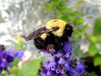 DSCN9324.jpg