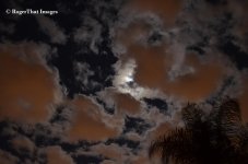 Clouds (11).jpg
