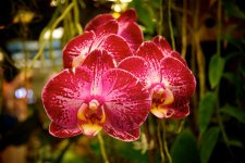 DSC_1049.jpg