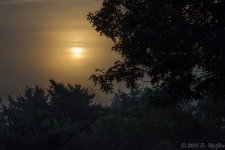 DSC_1954.jpg