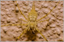 DSC__WLP_0001-97.jpg