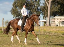 46046d1375431124-1st-horse-photos-d60_1052.jpg