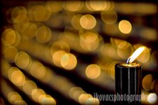 Lights of Hope 800.jpg