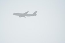 DSC_1032.jpg