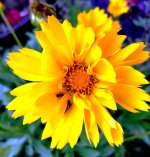 2013-08-03 13.16.31.jpg