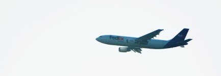 DSC_1029.jpg