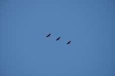 2nd August 2013 023.jpg