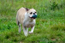 DSC_8725.jpg