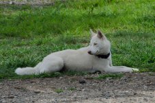DSC_8745.jpg