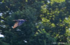 DSC_8574_016.JPG