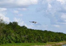 caracara snake road 1.JPG