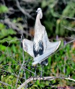 DSC_8010_001.JPG