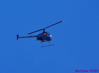 DSC_9695_001.JPG