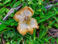 DSC_9707_001.JPG
