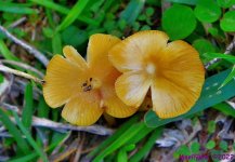 DSC_9709_001.JPG
