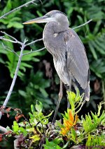 DSC_8073_001.JPG