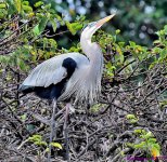 DSC_8076_001.JPG