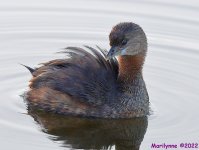 DSC_8189_001.JPG
