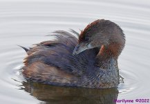 DSC_8190_001.JPG