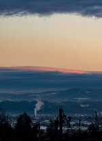 DSC_7983.JPG