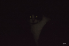 1670410380279.png