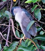 DSC_8250_001.JPG