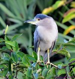 DSC_8300_001.JPG