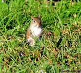 DSC_8307_001.JPG