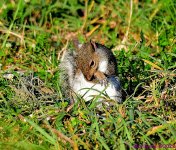 DSC_8308_001.JPG