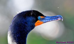 DSC_8328_001.JPG