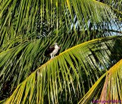 DSC_9774_001.JPG