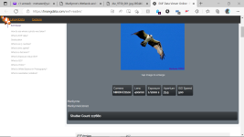 Screenshot (85).png
